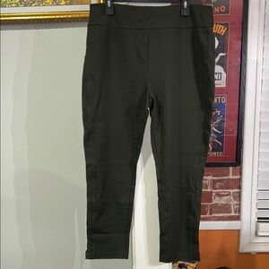 Express Olive Green Stretch Ponte Pants